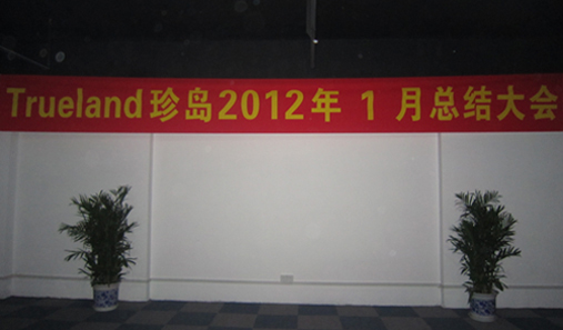 珍島2012年1月總結(jié)大會 珍島2012年1月總結(jié)大會
